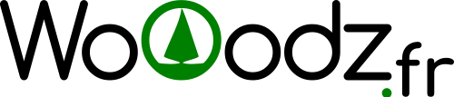Wooodz.fr Casse-tête
